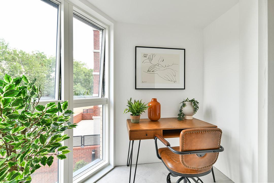 International Appeal